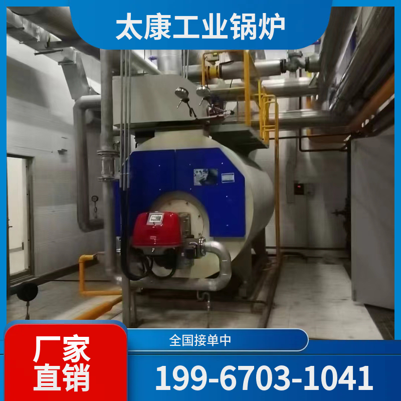 定西链条锅炉